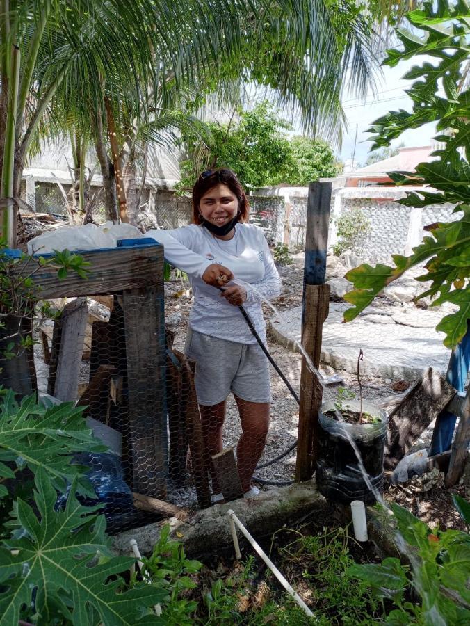 Sustainable Cabain Cozumel Exterior foto