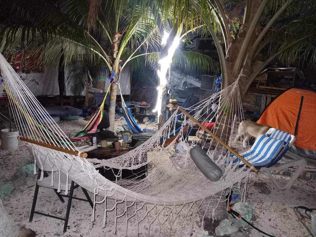 Sustainable Cabain Cozumel Exterior foto